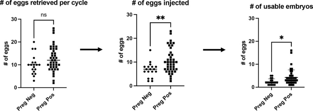 Three dot plots comparing egg counts and embryo development between "Pre" and "Post" (or positive/negative outcome) groups.
